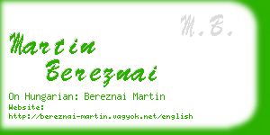 martin bereznai business card